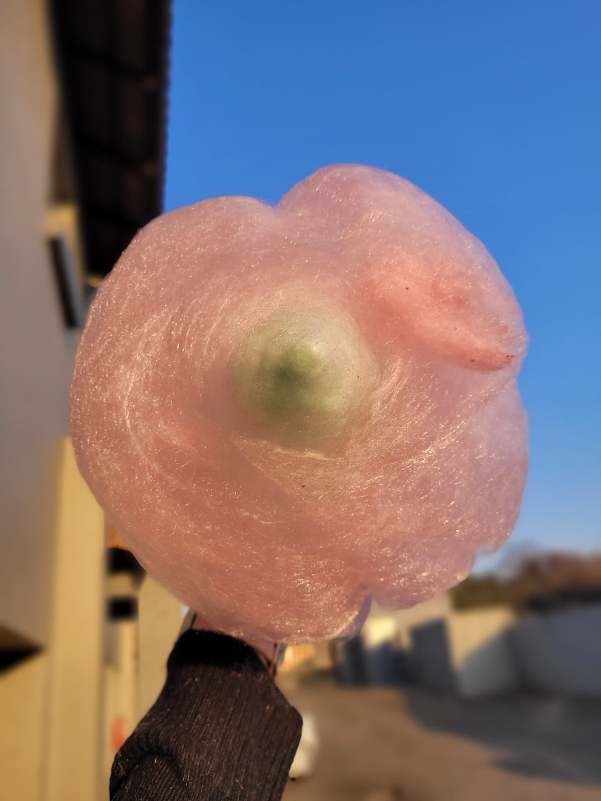 WhatsApp Image 2022-09-07 at 10.54.32 (2)